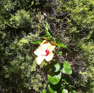 Meet your Posher, Lorena